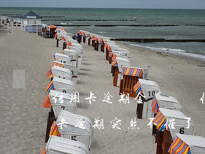 信用卡逾期金額沒變化怎么回事(為什么信用卡逾期突然不催了)