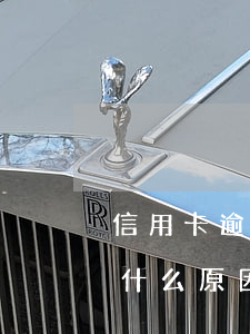 信用卡逾期金額為1元塊怎么辦 逾期1元是什么原因