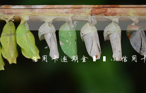 信用卡逾期金額變小(信用卡逾期金額變小了)