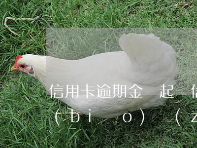 信用卡逾期金額起訴(信用卡逾期金額起訴標(biāo)準(zhǔn)是多少)
