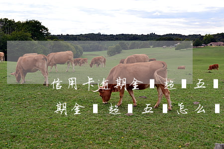信用卡逾期金額超過五萬怎么辦-信用卡逾期金額超過五萬怎么辦理