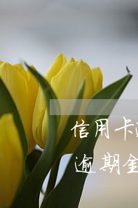 信用卡逾期金額超過多少可以立案-信用卡逾期金額超過多少可以立案