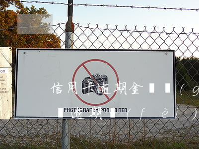 信用卡逾期金額過(guò)大還本金可以嗎(逾期費(fèi)用超過(guò)本金可以不還嗎)