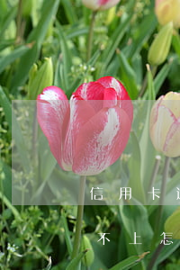 信用卡逾期金額還不上怎么辦 行用卡逾期還不上怎么辦