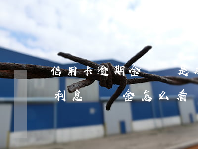 信用卡逾期金額還是本金(信用卡逾期本金和利息違約金怎么看)