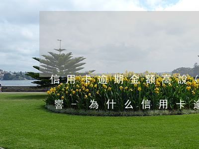 信用卡逾期金額高說(shuō)明什么影響-為什么信用卡逾期利息那么高