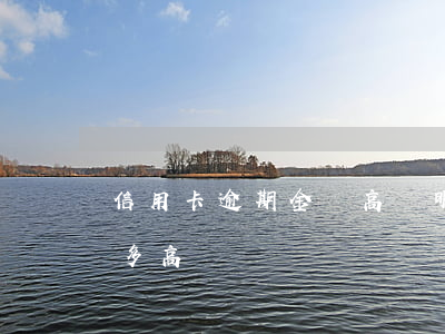 信用卡逾期金額高說明什么(信用卡逾期利息多高)