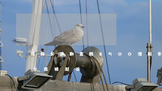 信用卡逾期金额2500(信用卡逾期金额多少会被起诉)