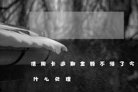 信用卡逾期金额不涨了 今年的信用卡逾期有什么处理