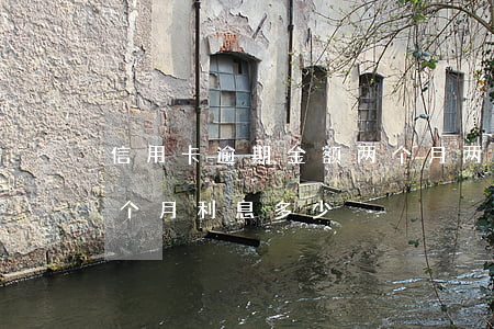 信用卡逾期金额两个月 两万的信用卡逾期两个月利息多少