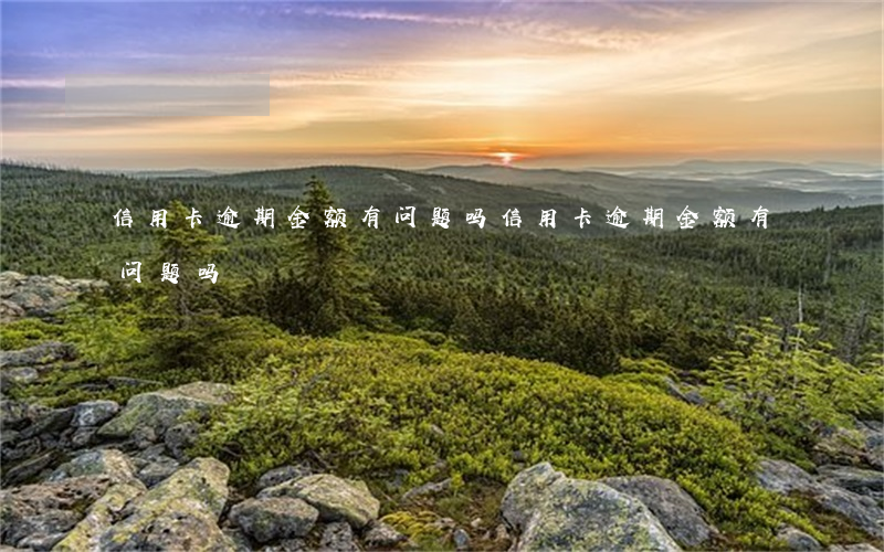 信用卡逾期金额有问题吗(信用卡逾期金额有问题吗)