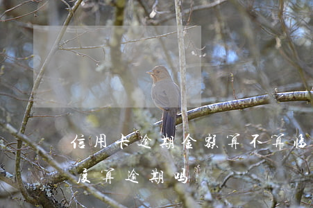 信用卡逾期金额算不算临时额度(超过信用额度算逾期吗)
