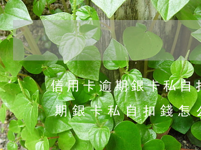 信用卡逾期銀卡私自扣錢怎么辦-信用卡逾期銀卡私自扣錢怎么辦理