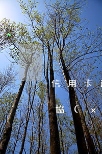 信用卡逾期銀監(jiān)會(huì)協(xié)商還款(國(guó)家信訪局投訴信用卡逾期協(xié)商還款問(wèn)題)