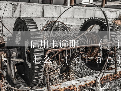 信用卡逾期銀監(jiān)會(huì)怎么調(diào)解(銀監(jiān)會(huì)信用卡逾期不影響征信)