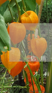 信用卡逾期銀行一直叫調(diào)解(剛才有人打電話說是銀行的我信用卡逾期)