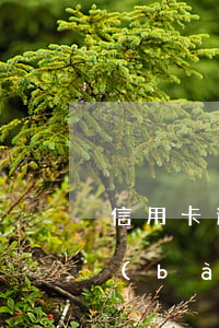 信用卡逾期銀行一般什么時(shí)候報(bào)案 銀行卡信用卡逾期有什么辦