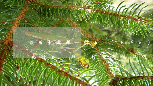 信用卡逾期銀行上報(bào)央行的征信是什么過程(銀行逾期上征信會(huì)有什么后果)