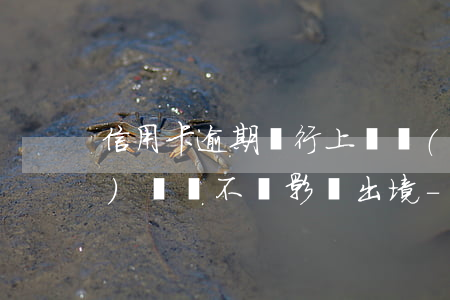信用卡逾期銀行上報數(shù)據(jù)庫會不會影響出境-逾期被報送信用卡數(shù)據(jù)基礎(chǔ)中心怎么辦