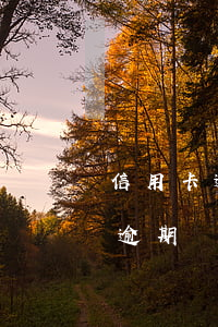 信用卡逾期銀行上門了怎么辦電話-信用卡逾期銀行上門了怎么辦電話客服