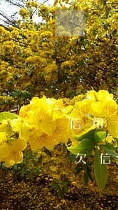 信用卡逾期銀行上門后多久報(bào)案(欠信用卡多久上門)