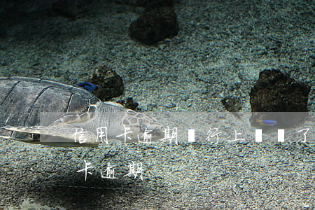 信用卡逾期銀行上門給了信(接到電話說信用卡逾期)