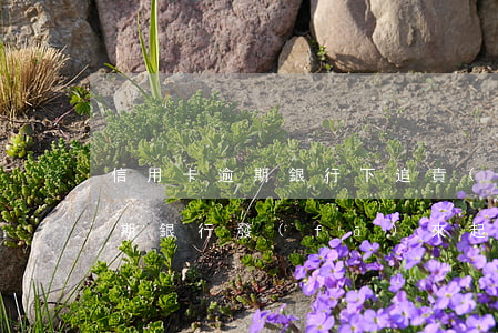 信用卡逾期銀行下追責(zé)函(信用卡逾期銀行發(fā)來起訴告知函)