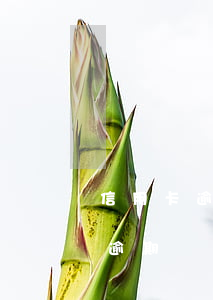 信用卡逾期銀行不同意分期要起訴-信用卡逾期銀行不同意分期要起訴嗎