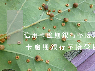 信用卡逾期銀行不接受協(xié)商(信用卡逾期銀行不接受協(xié)商怎么辦)