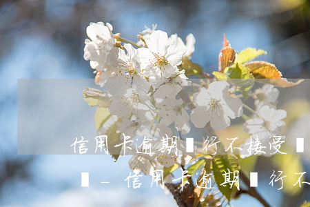 信用卡逾期銀行不接受協(xié)商怎么辦-信用卡逾期銀行不接受協(xié)商怎么辦呢