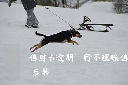 信用卡逾期銀行不理睬(信用卡逾期不處理的后果)