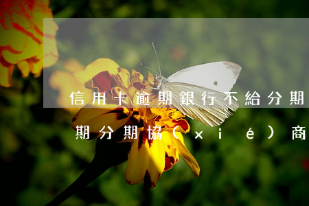 信用卡逾期銀行不給分期怎么辦-信用卡逾期分期協(xié)商