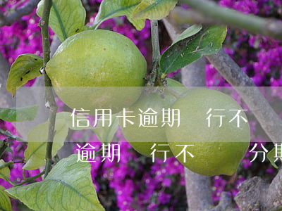 信用卡逾期銀行不給辦分期怎么辦?-信用卡逾期銀行不給辦分期怎么辦呢