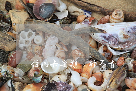 信用卡逾期銀行不肯協(xié)助怎么辦
