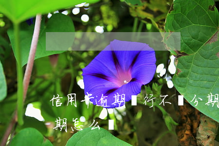 信用卡逾期銀行不許分期(信用卡超限不能分期怎么辦)