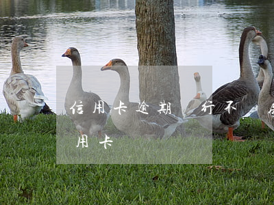 信用卡逾期銀行不辦房貸(房貸有逾期能辦信用卡)