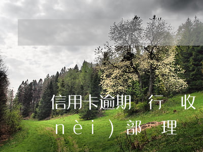 信用卡逾期銀行亂收(銀行對信用卡逾期內(nèi)部處理)