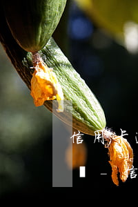 信用卡逾期銀行來(lái)公司找我怎么辦-信用卡逾期銀行來(lái)公司找我怎么辦理