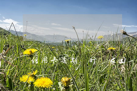 信用卡逾期銀行來家回訪會怎樣