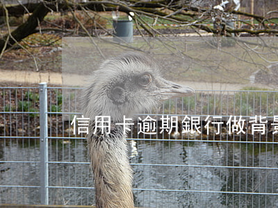 信用卡逾期銀行做背景調(diào)查