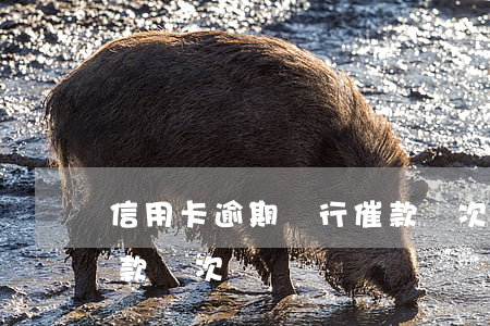 信用卡逾期銀行催款兩次(信用卡逾期銀行催款兩次)
