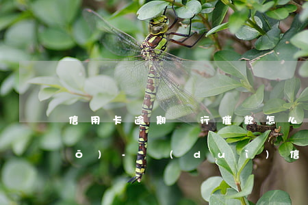 信用卡逾期銀行催款怎么才最好說(shuō)-對(duì)信用卡逾期催收技巧