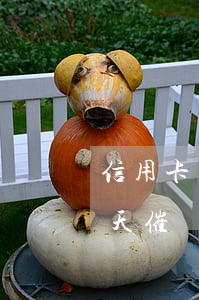 信用卡逾期銀行催繳信息(信用卡逾期銀行一天催繳幾次)