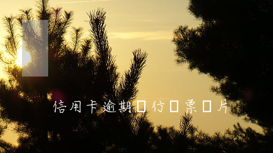 信用卡逾期銀行傳票圖片