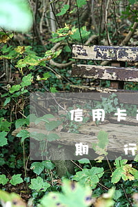 信用卡逾期銀行儲(chǔ)蓄卡(信用卡逾期銀行儲(chǔ)蓄卡有影響嗎)