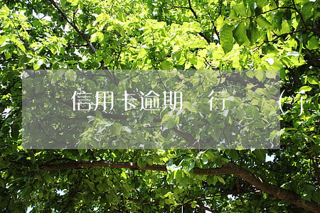信用卡逾期銀行凍結(jié)卡