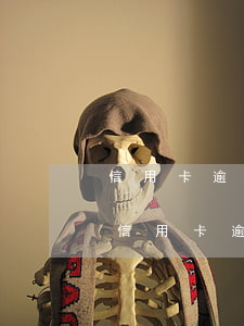 信用卡逾期銀行凍結(jié)的錢能拿嗎（信用卡逾期銀行凍結(jié)的錢能拿嗎）