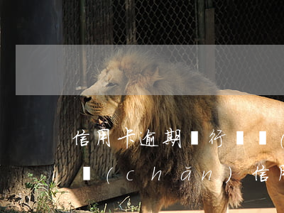 信用卡逾期銀行凍結(jié)賬戶名下財產(chǎn)(信用卡逾期銀行凍結(jié)賬戶名下財產(chǎn))