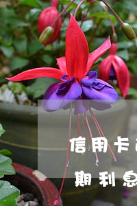 信用卡逾期銀行利息怎么算(怎么查信用卡逾期利息)