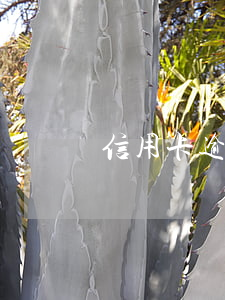 信用卡逾期銀行到公司